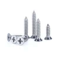 Stainless Steel Wood Screws Phillips Flat Head Screws Self Tapping Screws