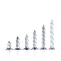 Stainless Steel Phillips Countersunk Flat Head Self Tapping Wood Screw